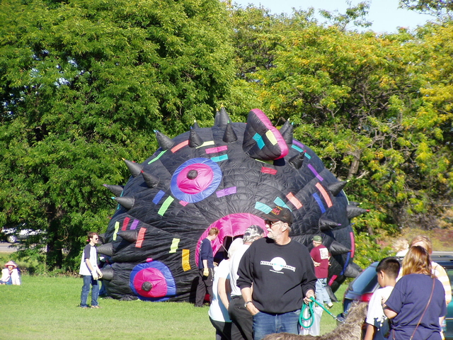 P1010097.JPG