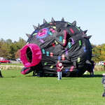P1010098.JPG