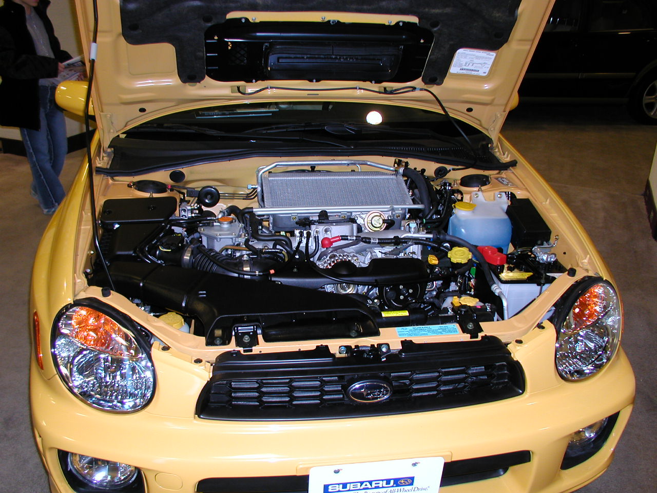 P1010007.JPG
