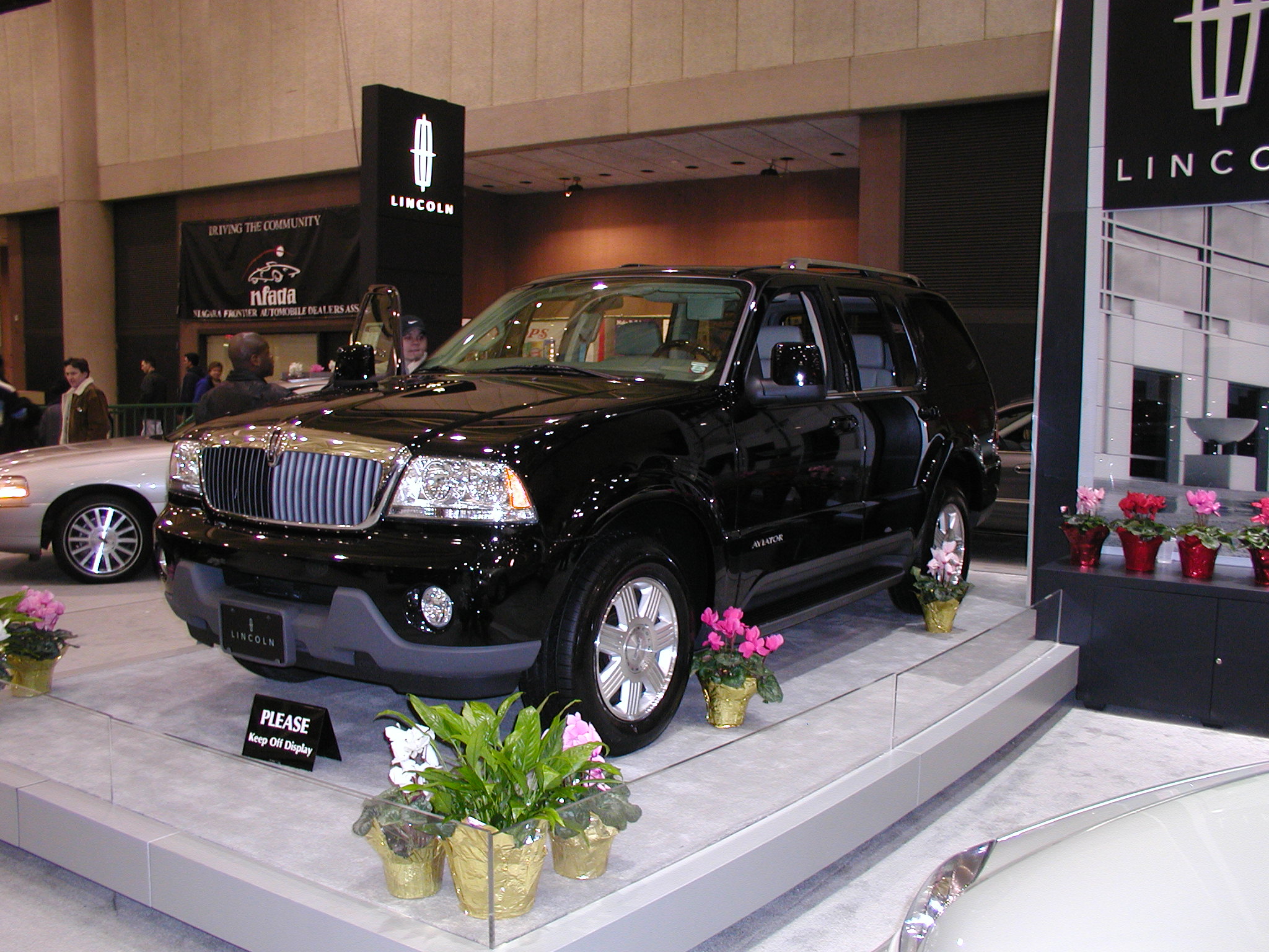 P1010033.JPG