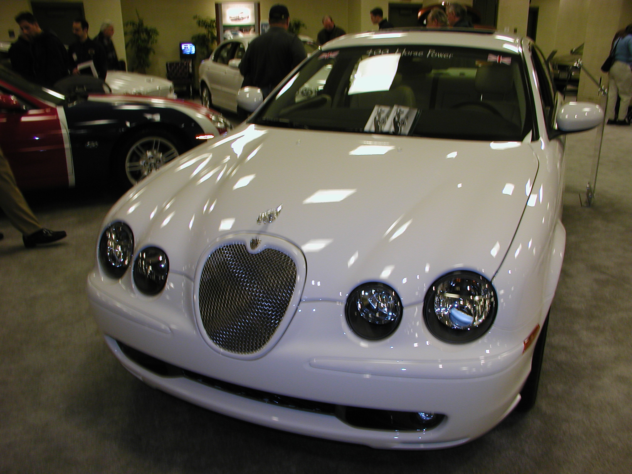 P1010035.JPG