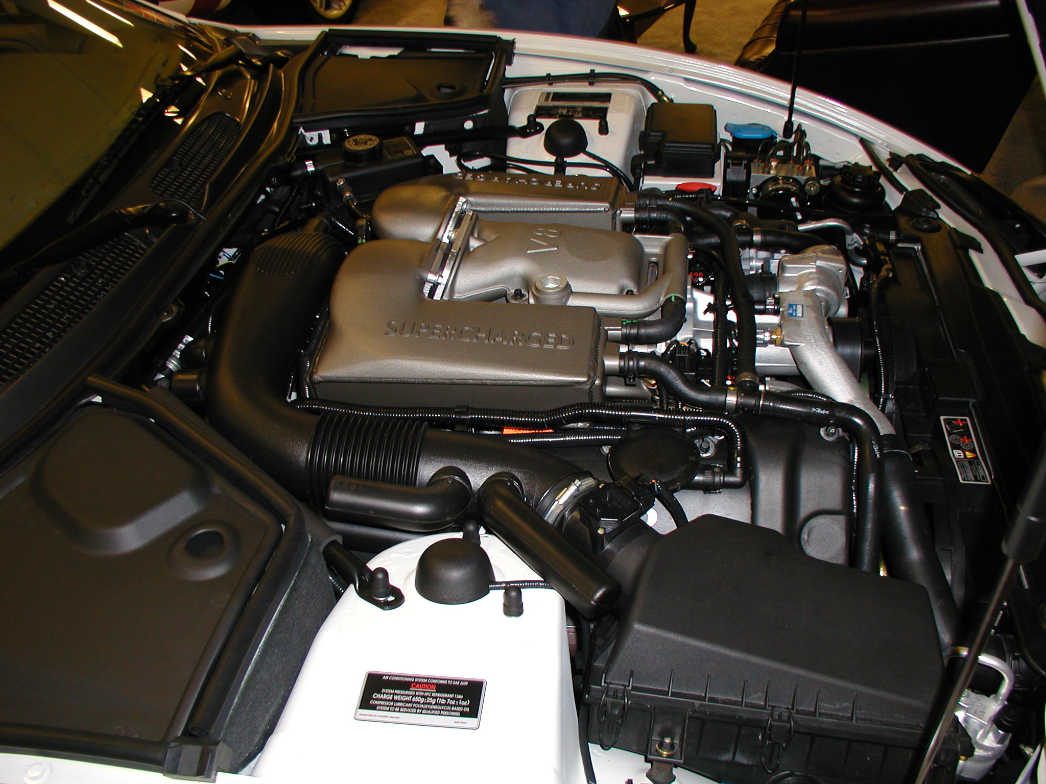 P1010037.JPG