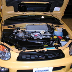 P1010007.JPG