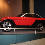 P1010028.JPG