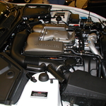 P1010037.JPG
