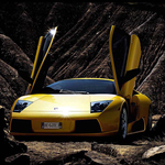 murcielago_8_800.jpg
