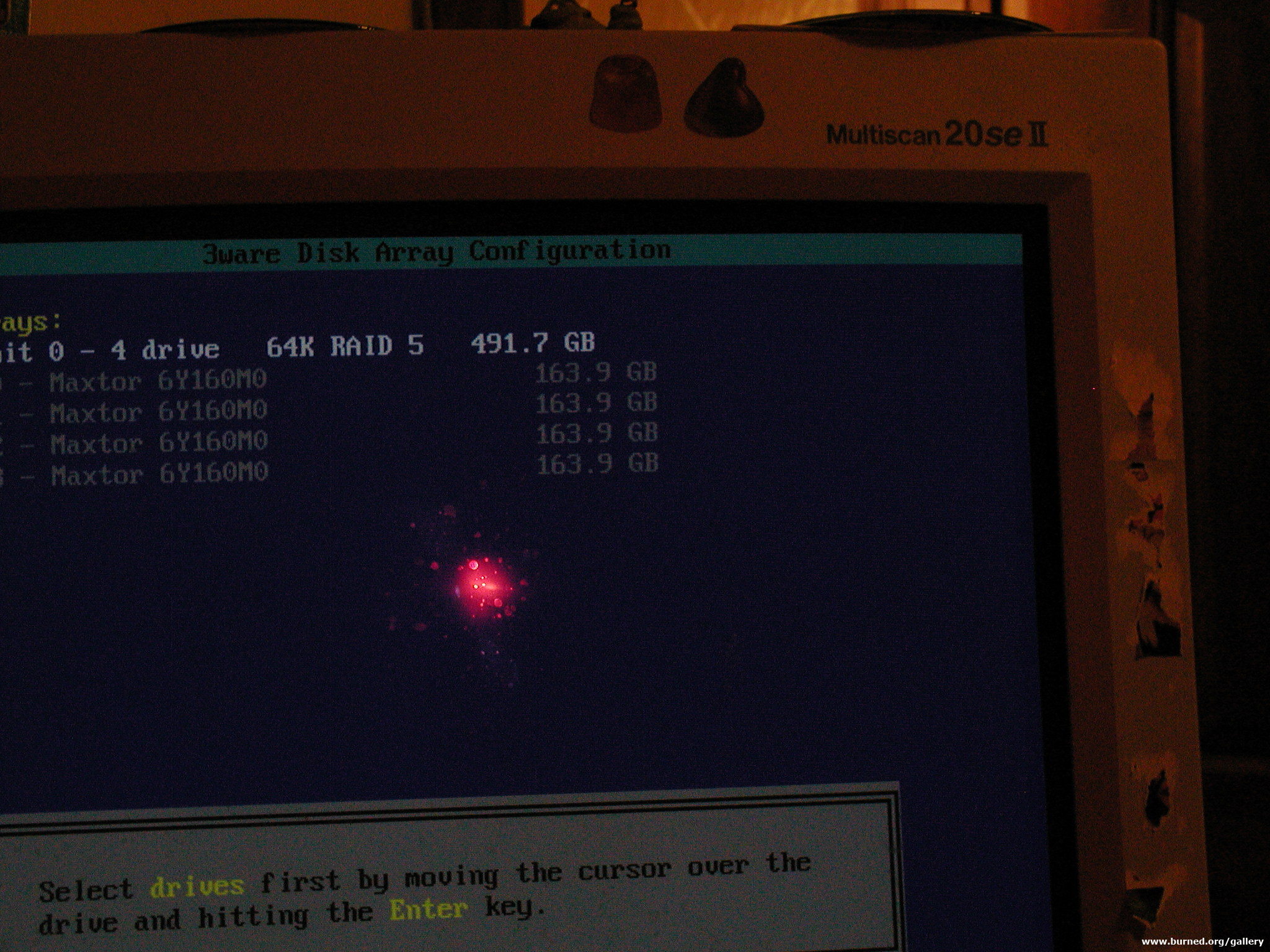Picture 011.jpg