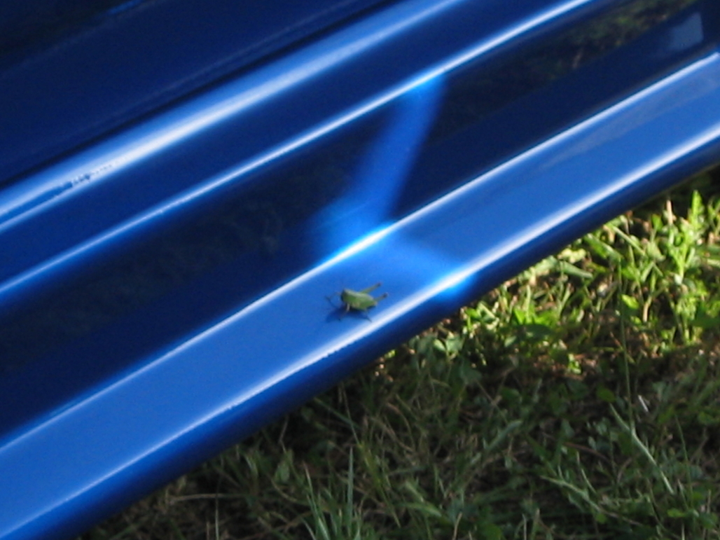 8-31-03 Car Show 123.jpg