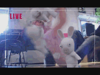 bunnyrageoa2mr3sl1.gif