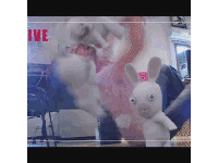 bunnyrageoa2mr3sl1.gif