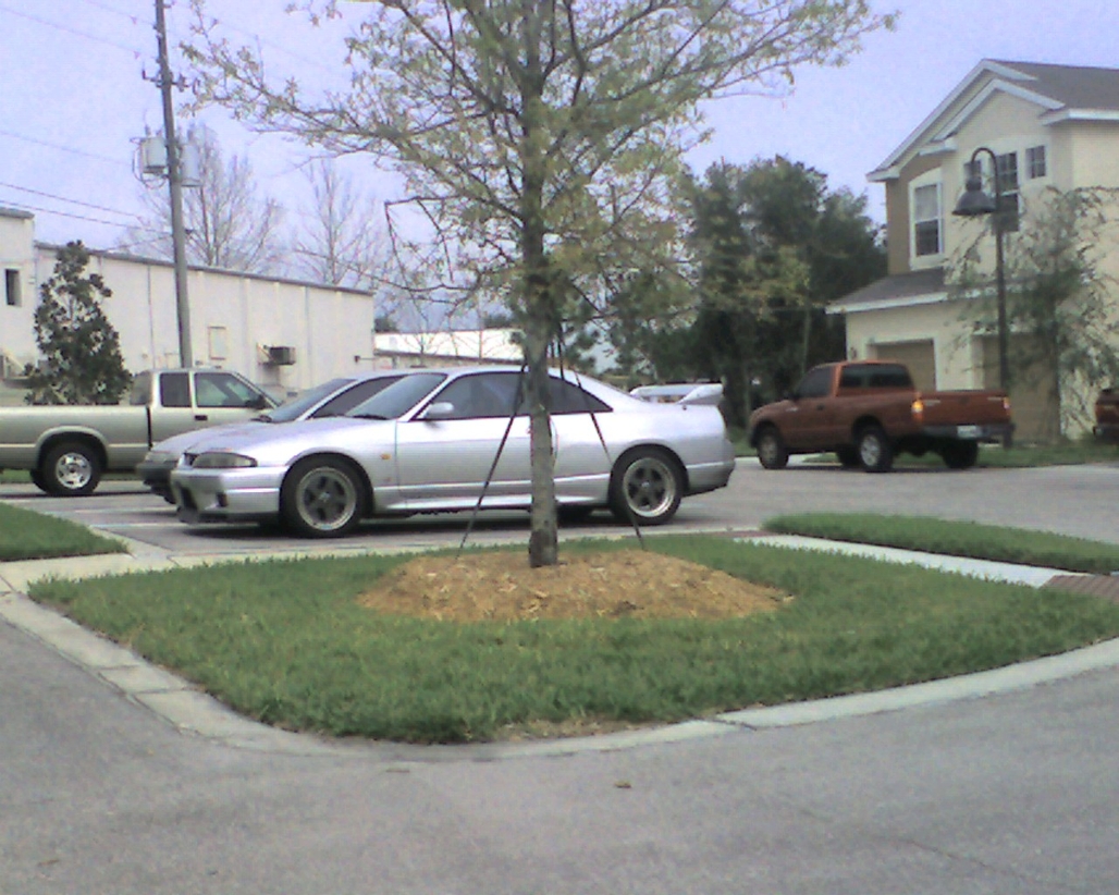 img116.jpg