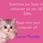 kittie.jpg