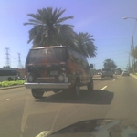 img040.jpg