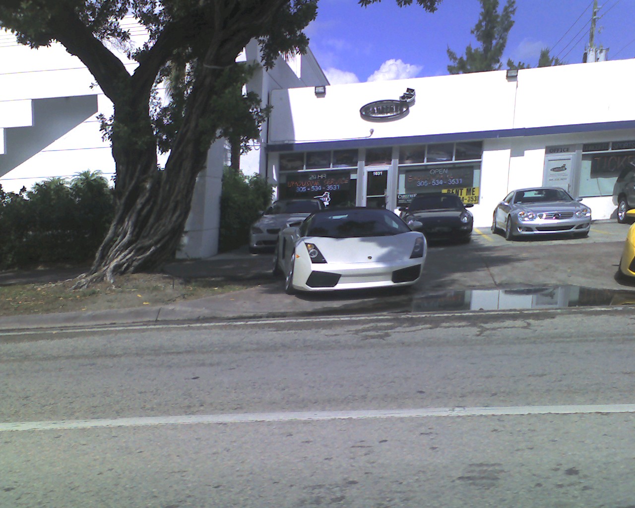 img011.jpg