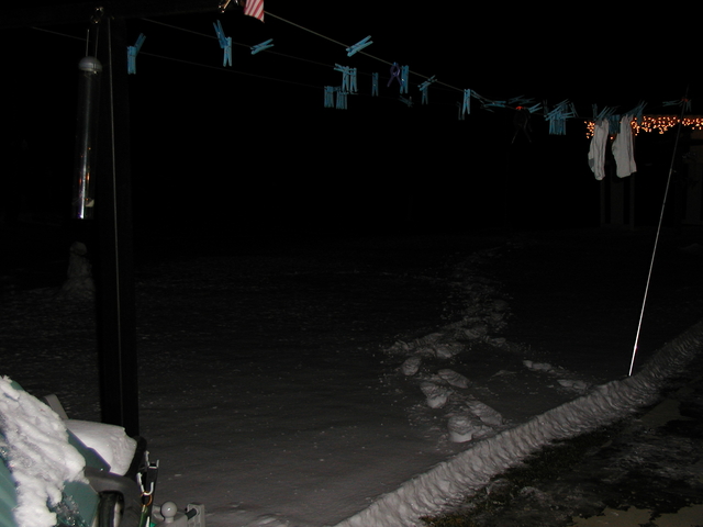 P1010009.JPG