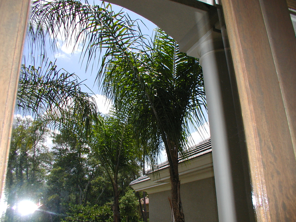 P1010101.JPG