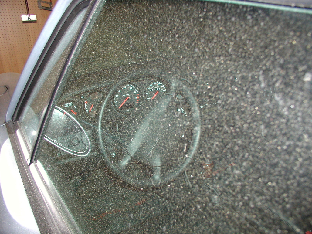 P1010102.JPG