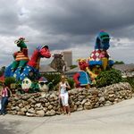 P1010118.JPG