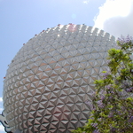 P1010133.JPG