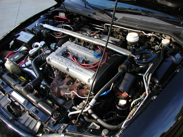 P1010454.JPG