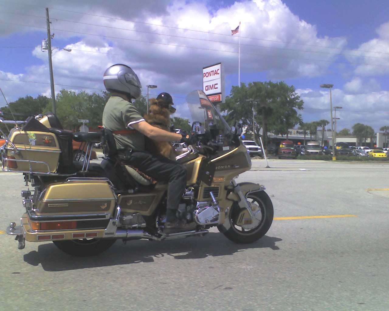 img045.jpg