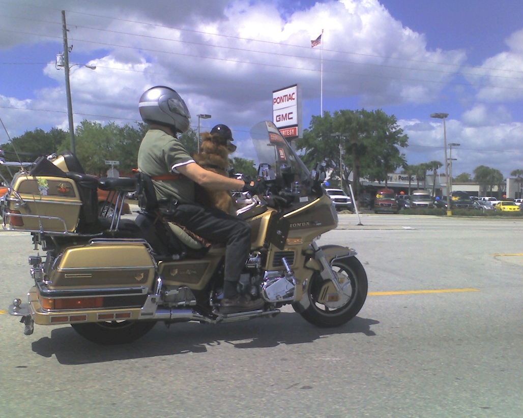 img045.jpg