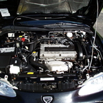 Stock