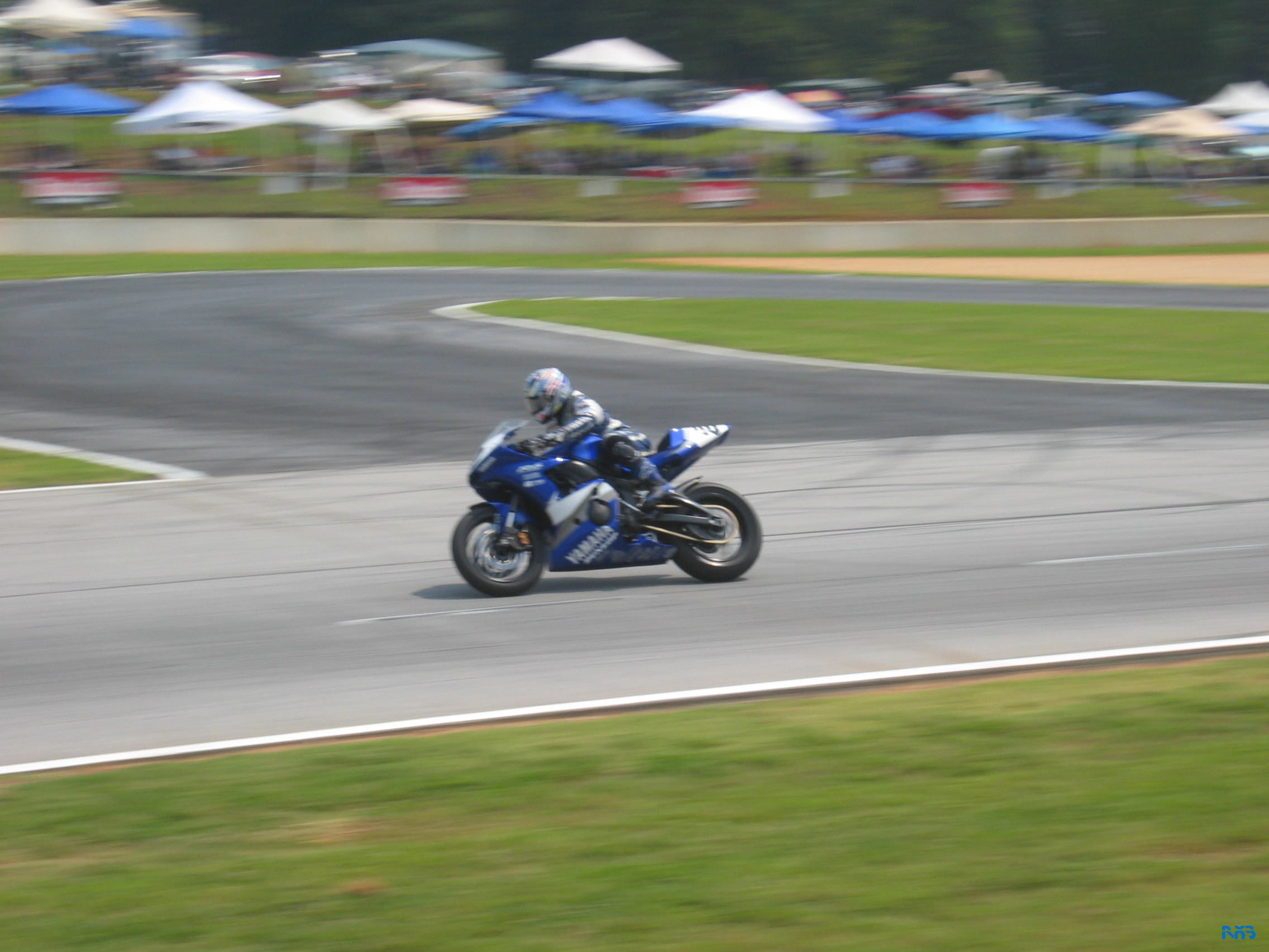 IMG_3570.JPG