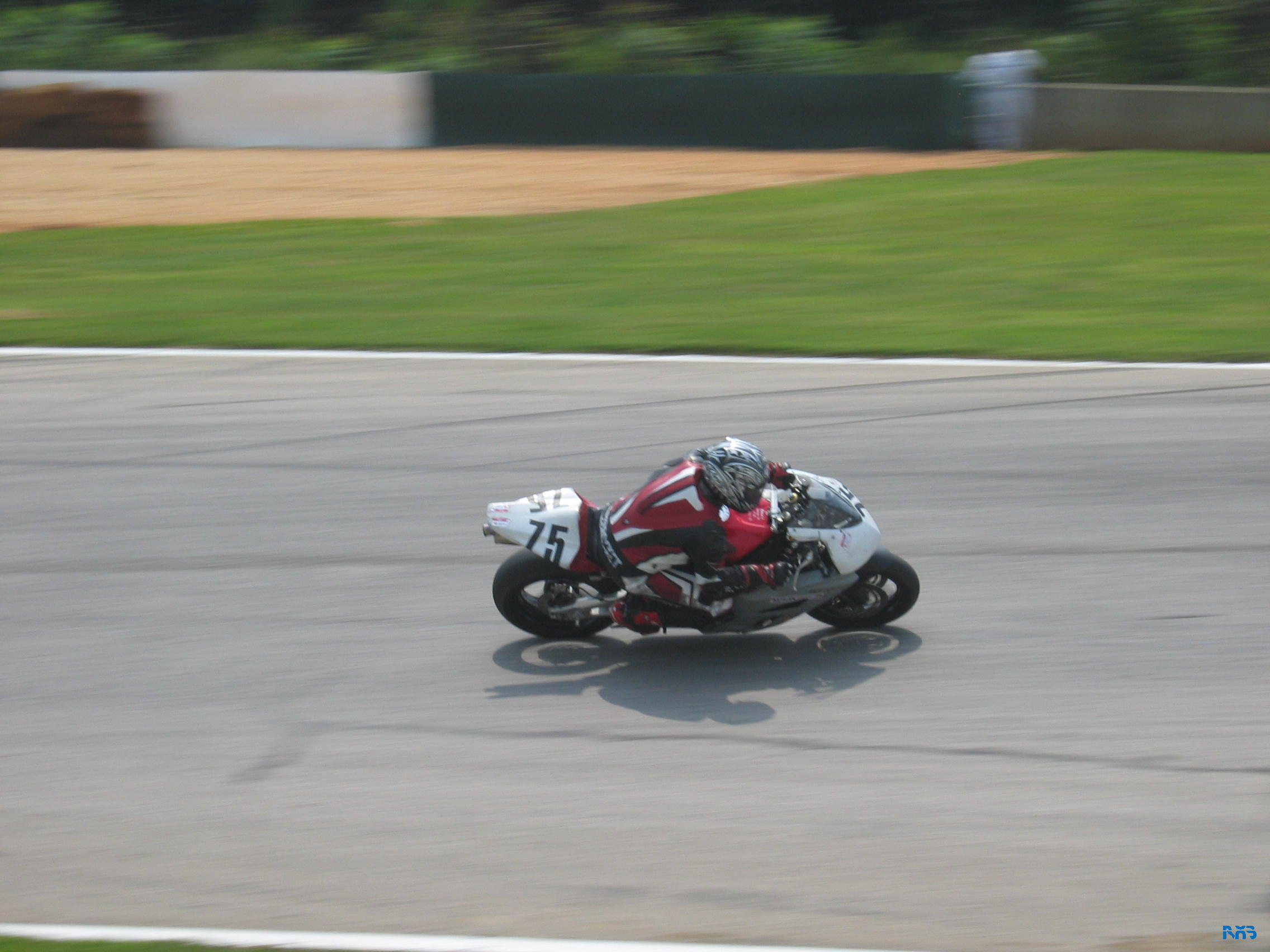 IMG_3493.JPG