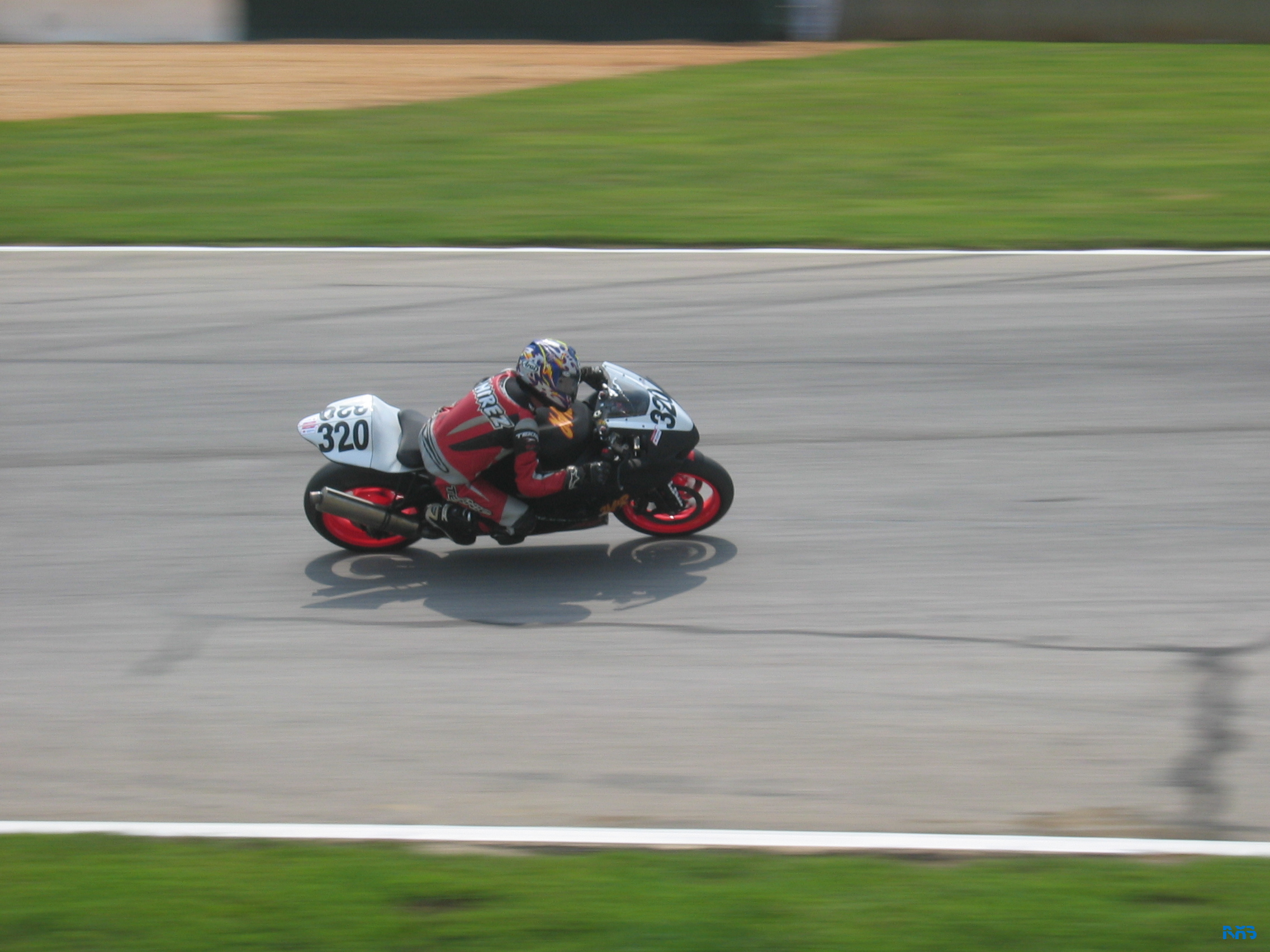 IMG_3494.JPG