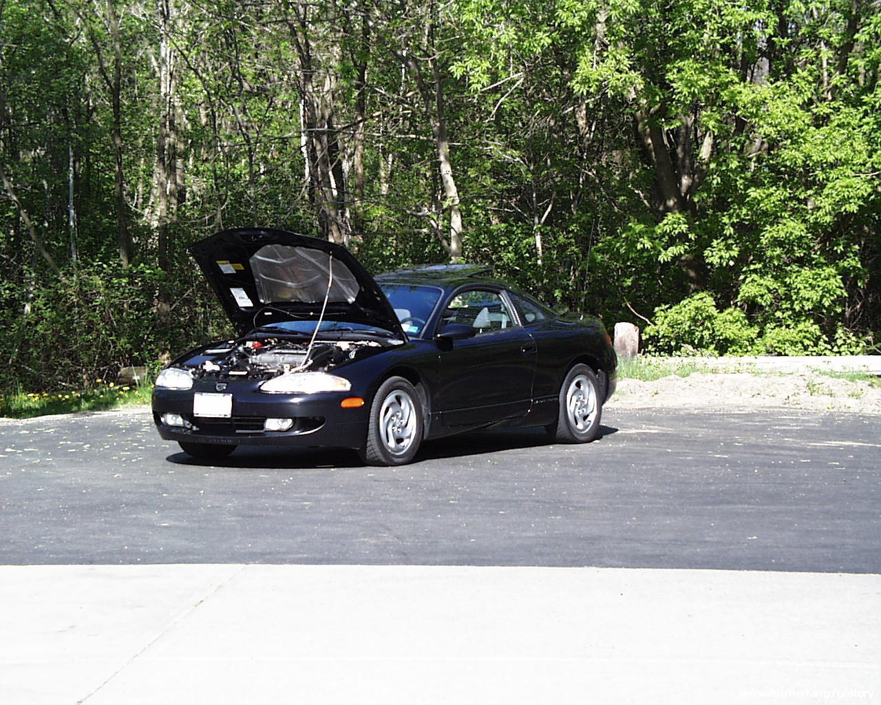 IMAGE010.jpg