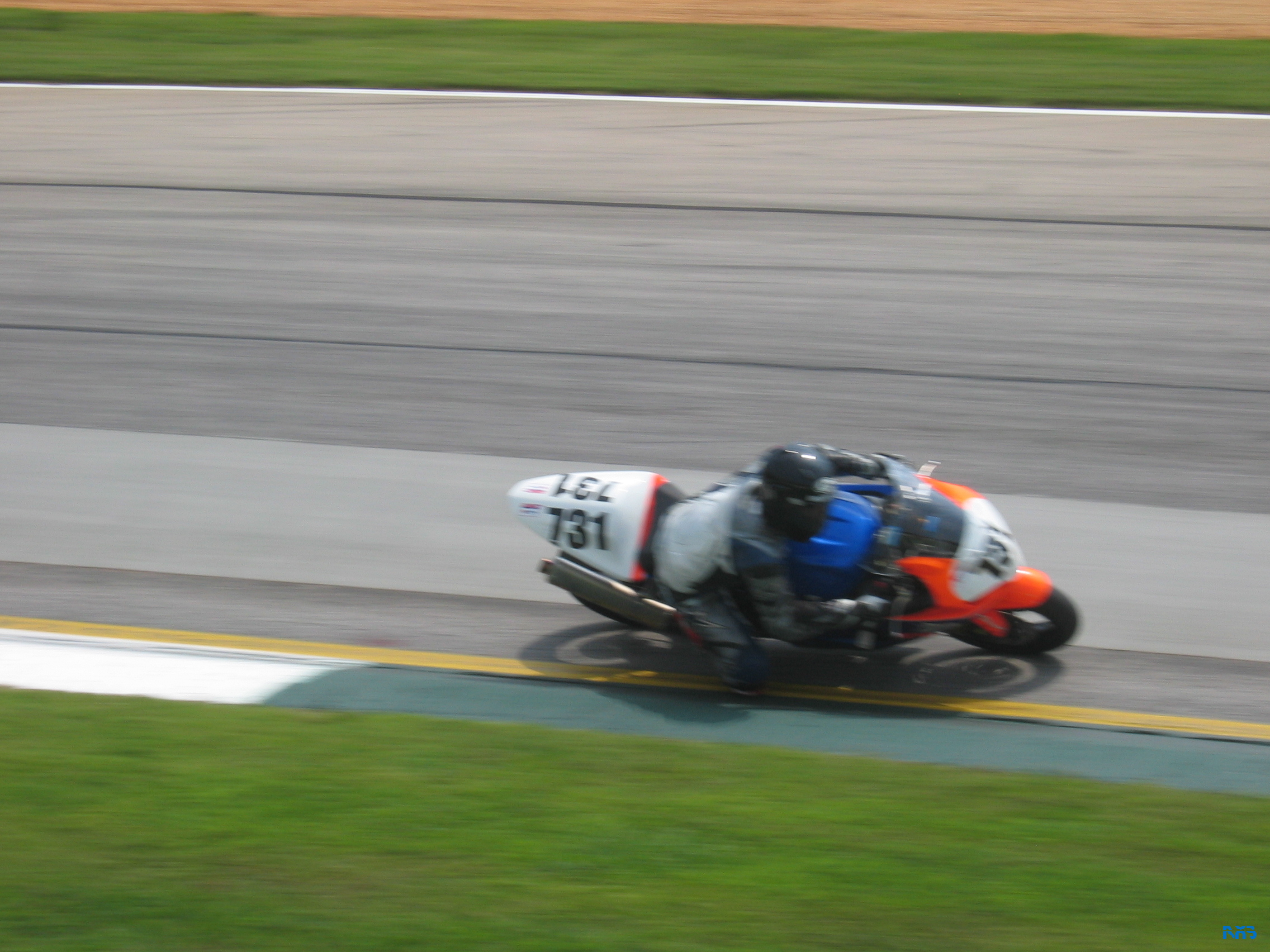 IMG_3513.JPG