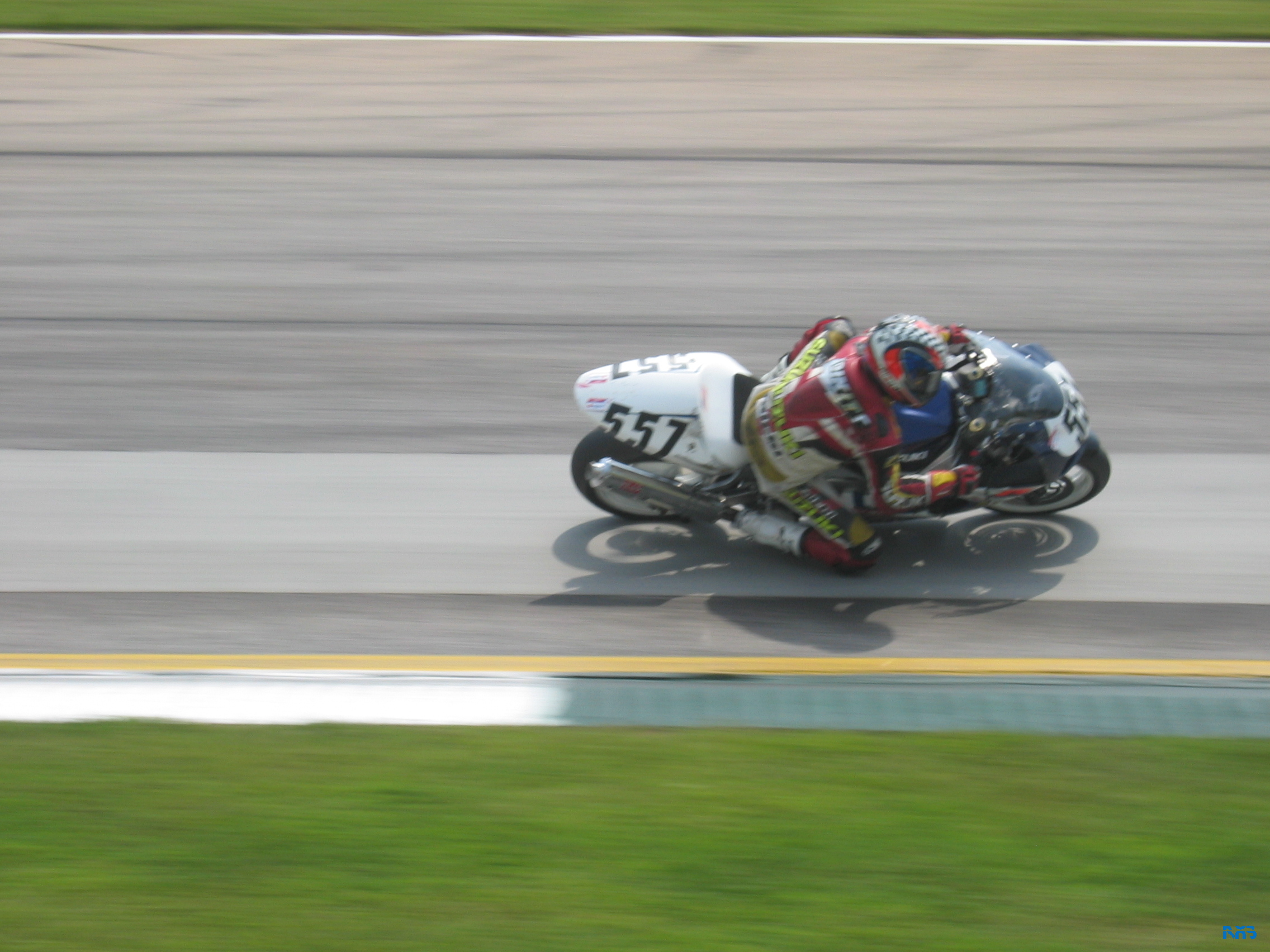 IMG_3516.JPG