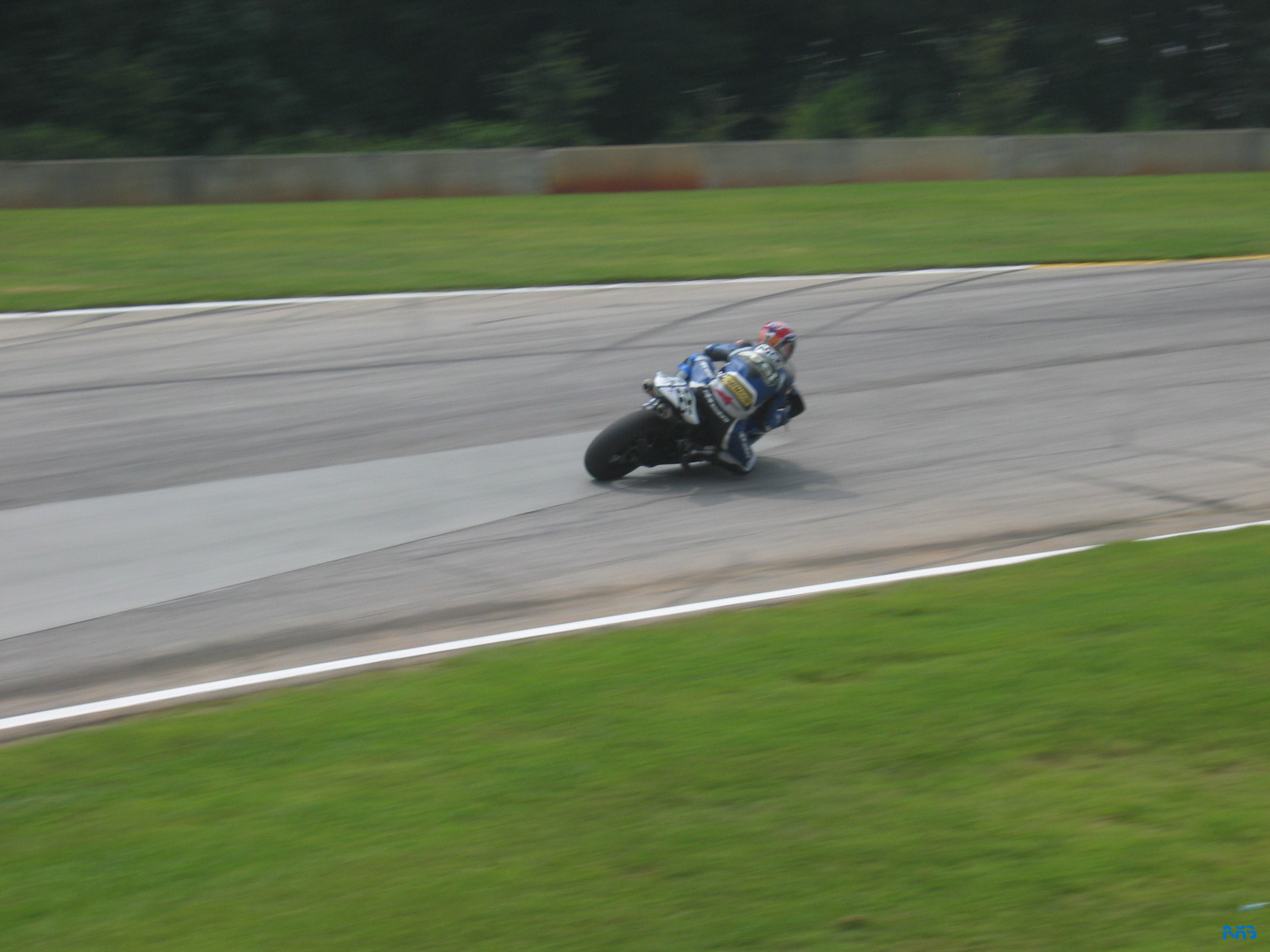 IMG_3519.JPG