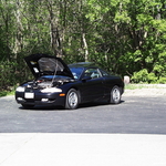 IMAGE010.jpg