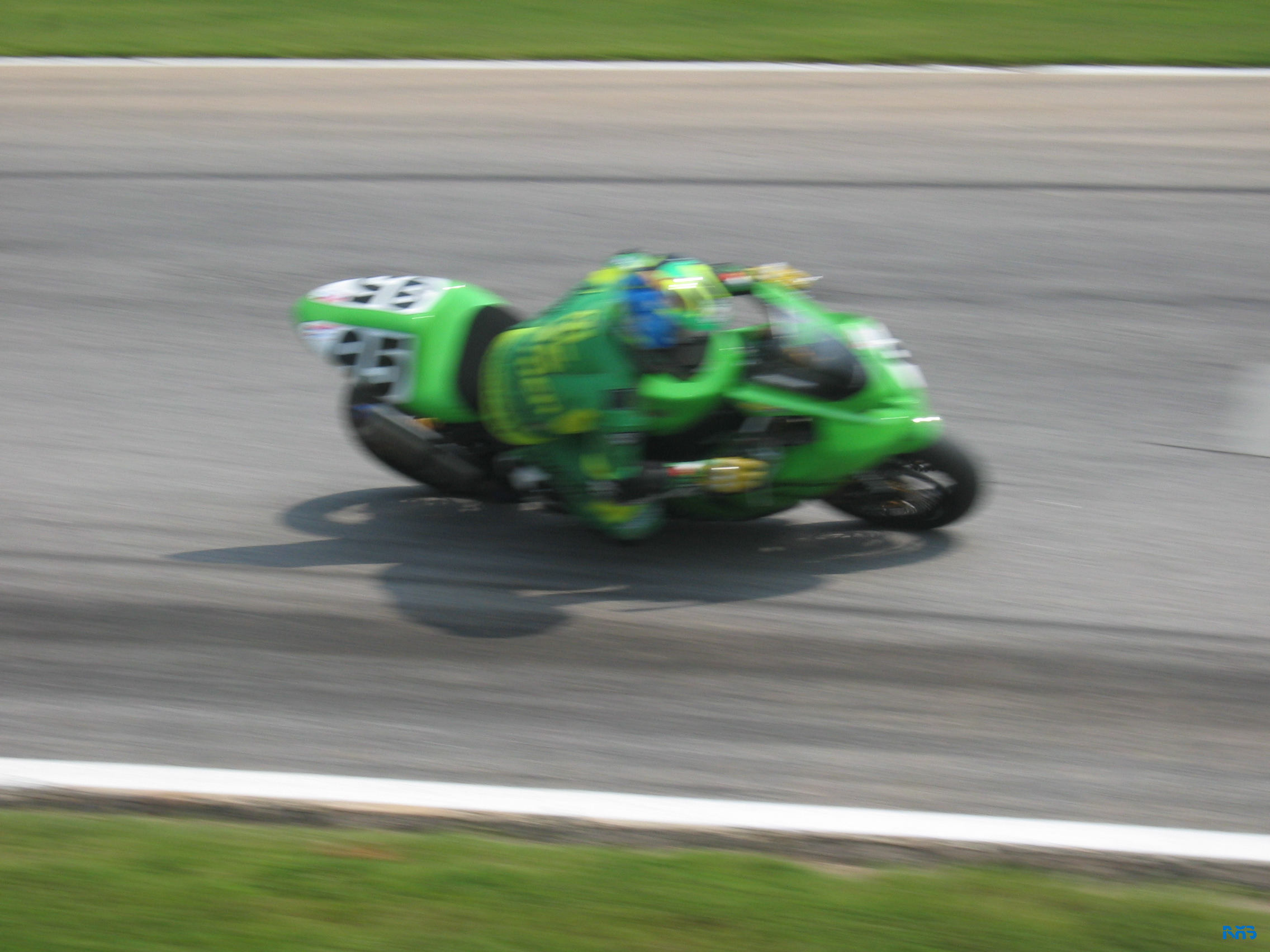 IMG_3531.JPG