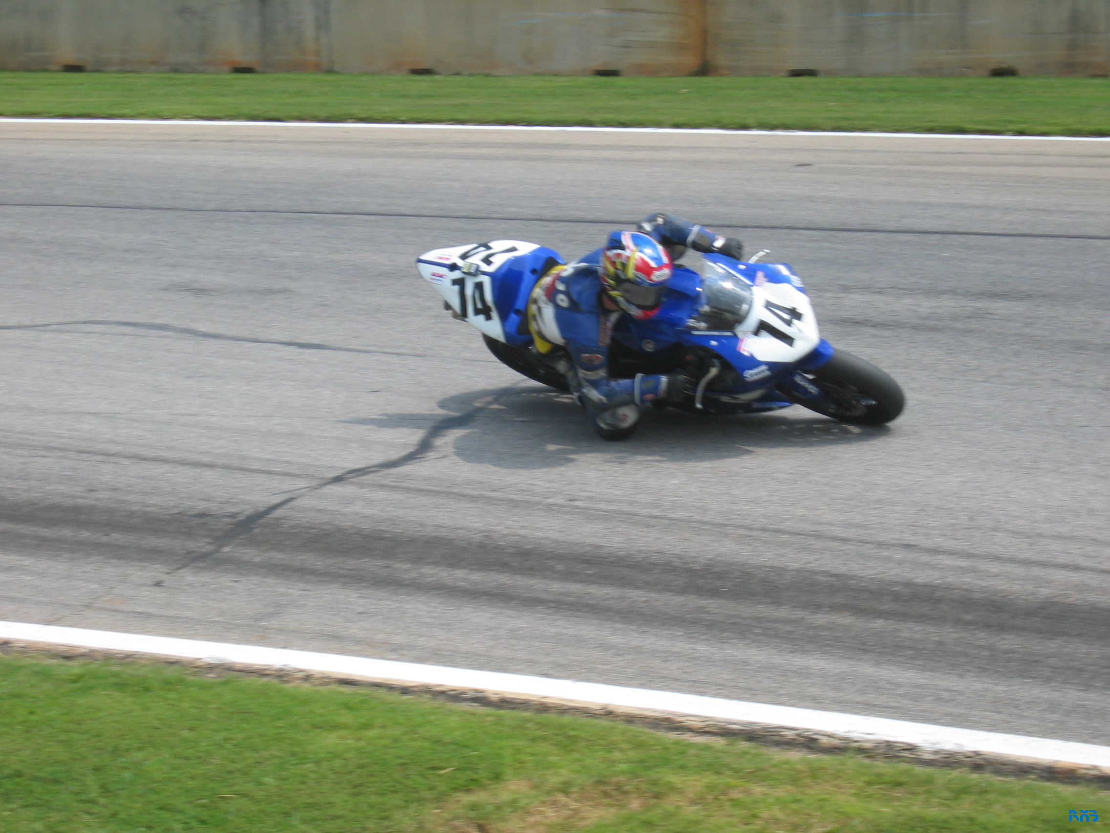 IMG_3536.JPG