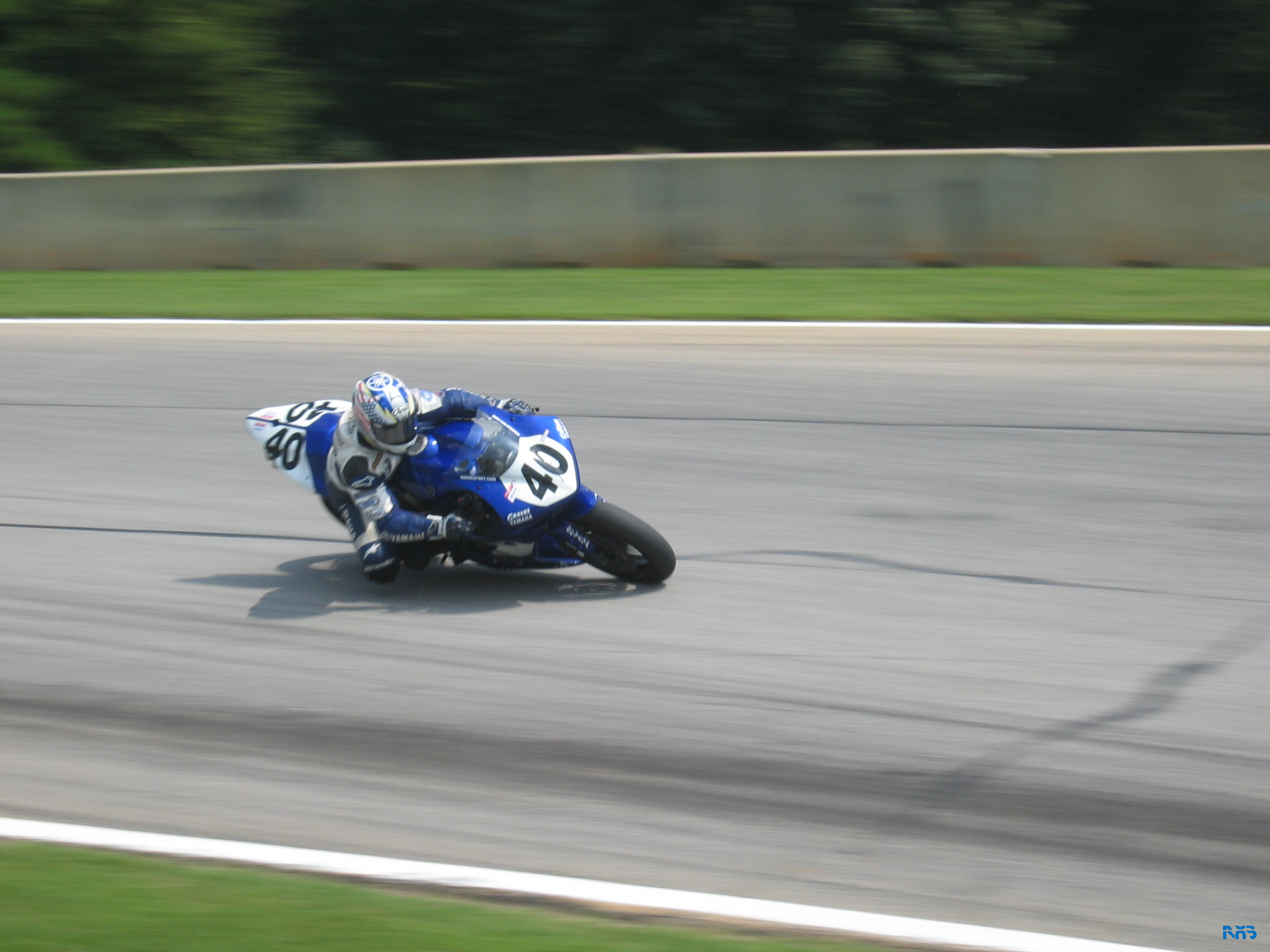 IMG_3537.JPG
