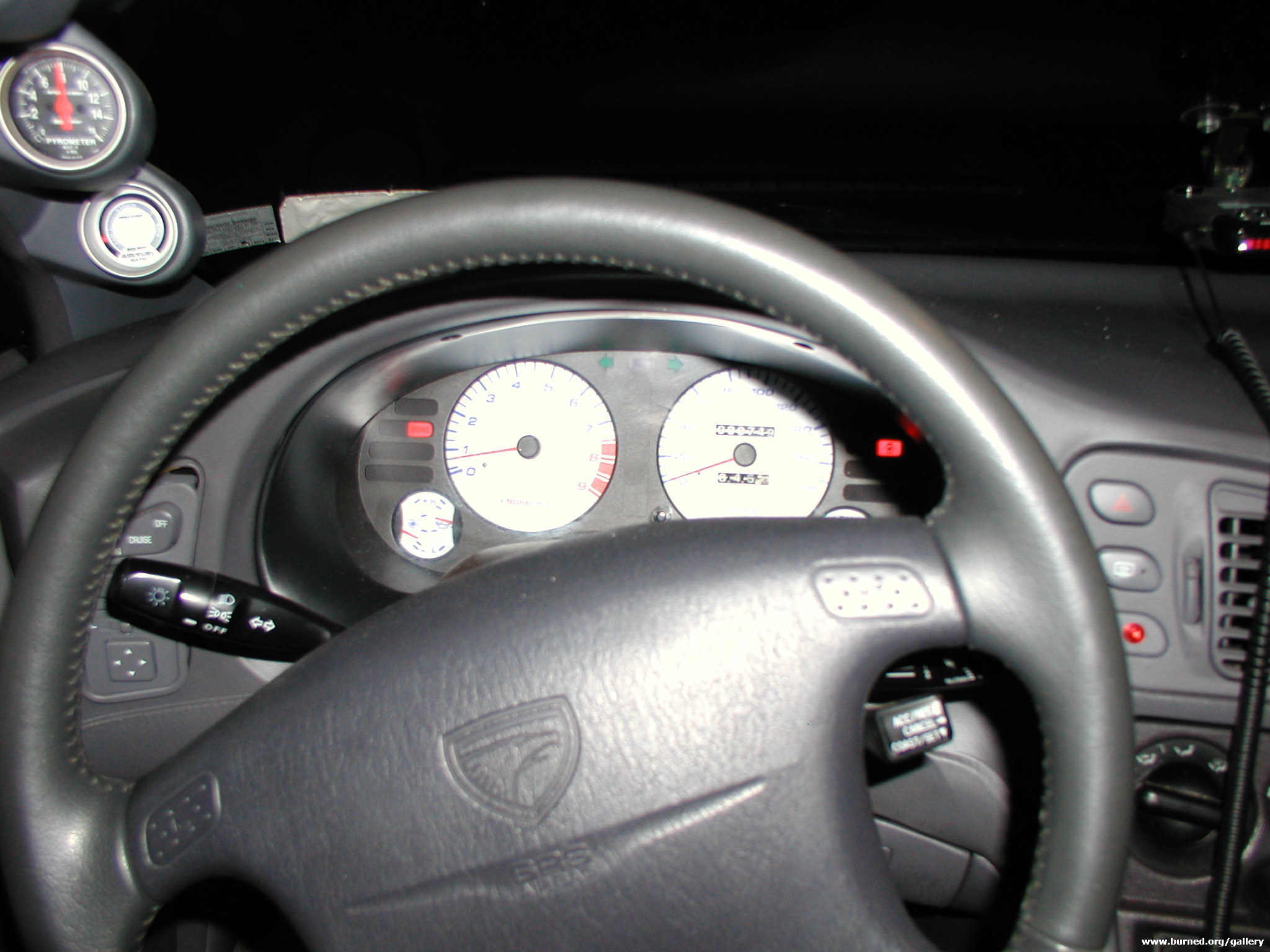 P1010023.jpg