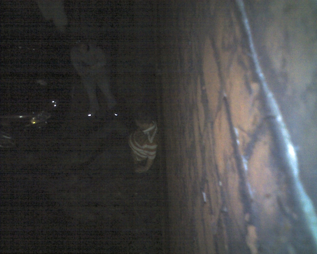 img072.jpg