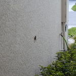 P1010010.JPG