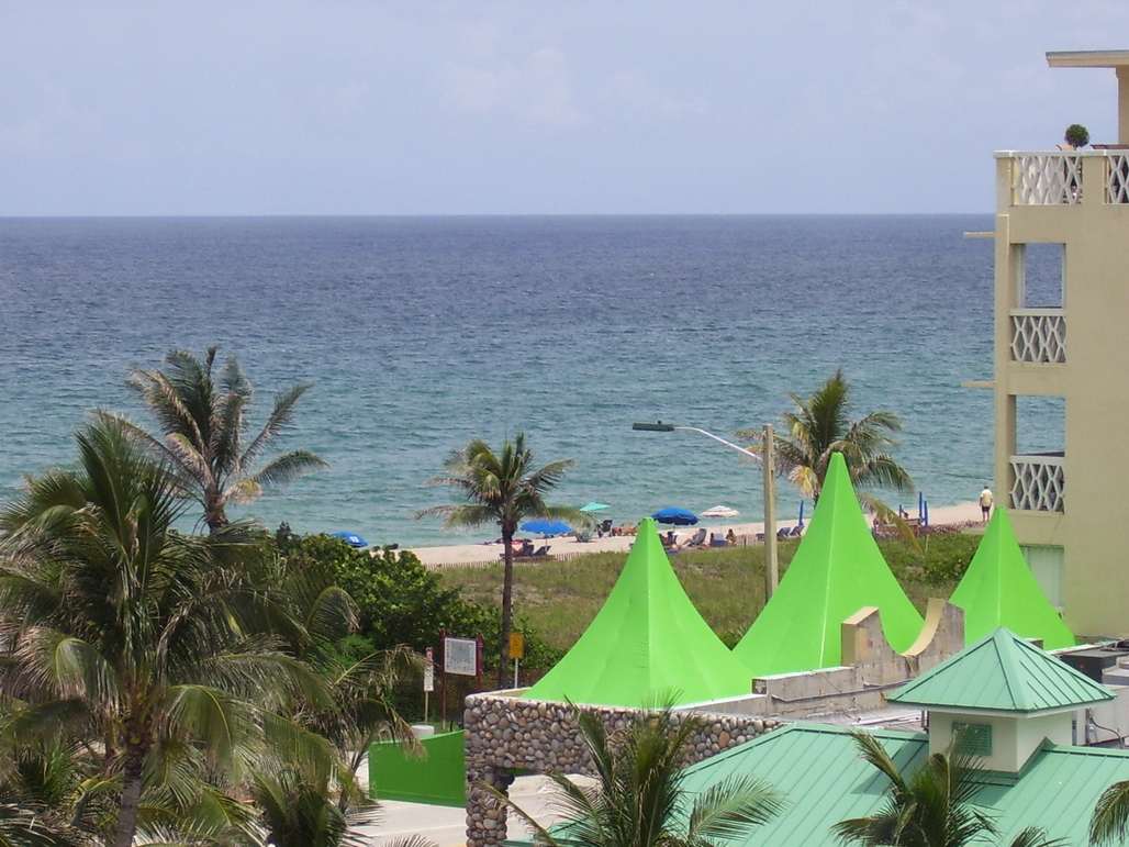 100_0523.jpg