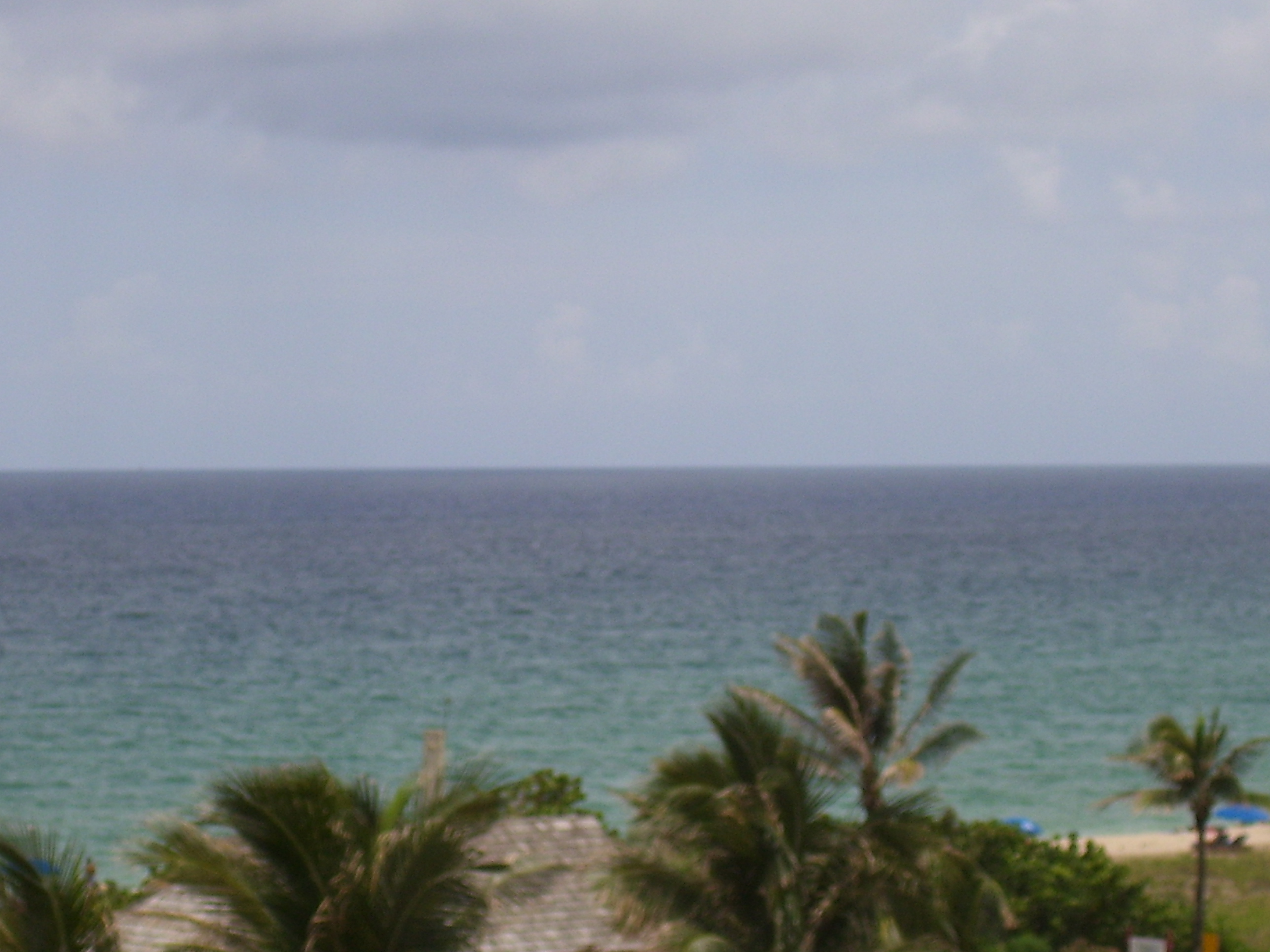 100_0524.jpg
