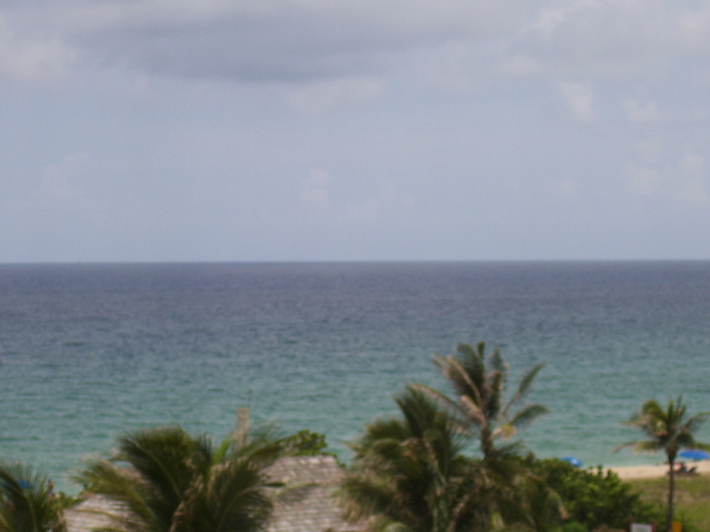100_0524.jpg