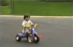 lol.gif