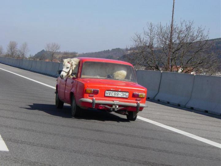 562_Folie3.JPG