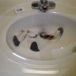 Picture 001.jpg