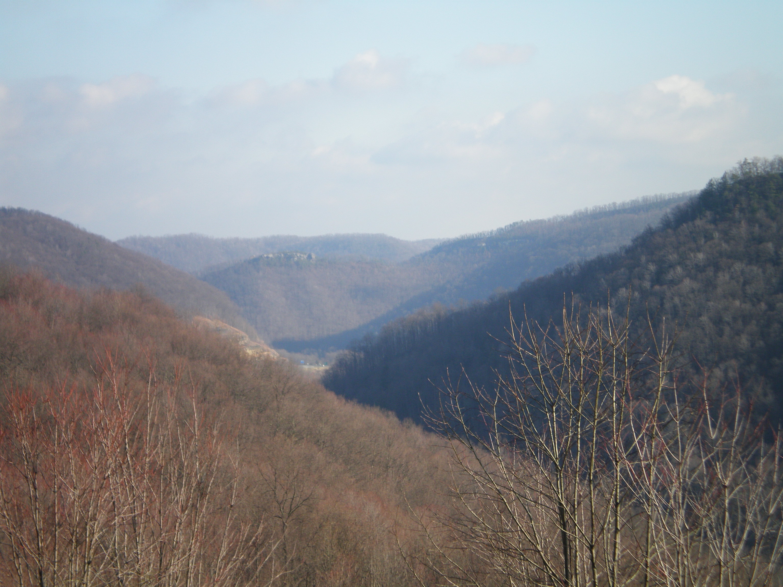 Picture 007.jpg