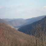 Picture 007.jpg
