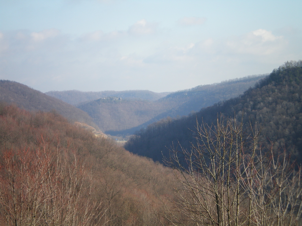 Picture 007.jpg